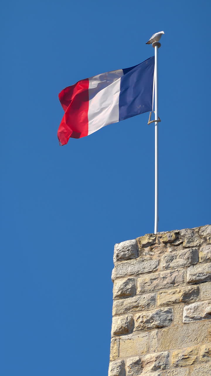 La bandiera della Francia che sventola con il cielo blu sullo sfondo. Verticale