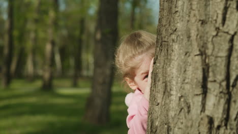 playful little child hides behind old tree trunk in garden