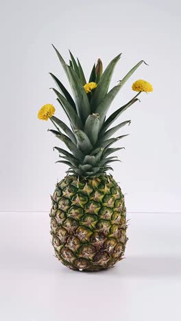 Pineapple with Flowers