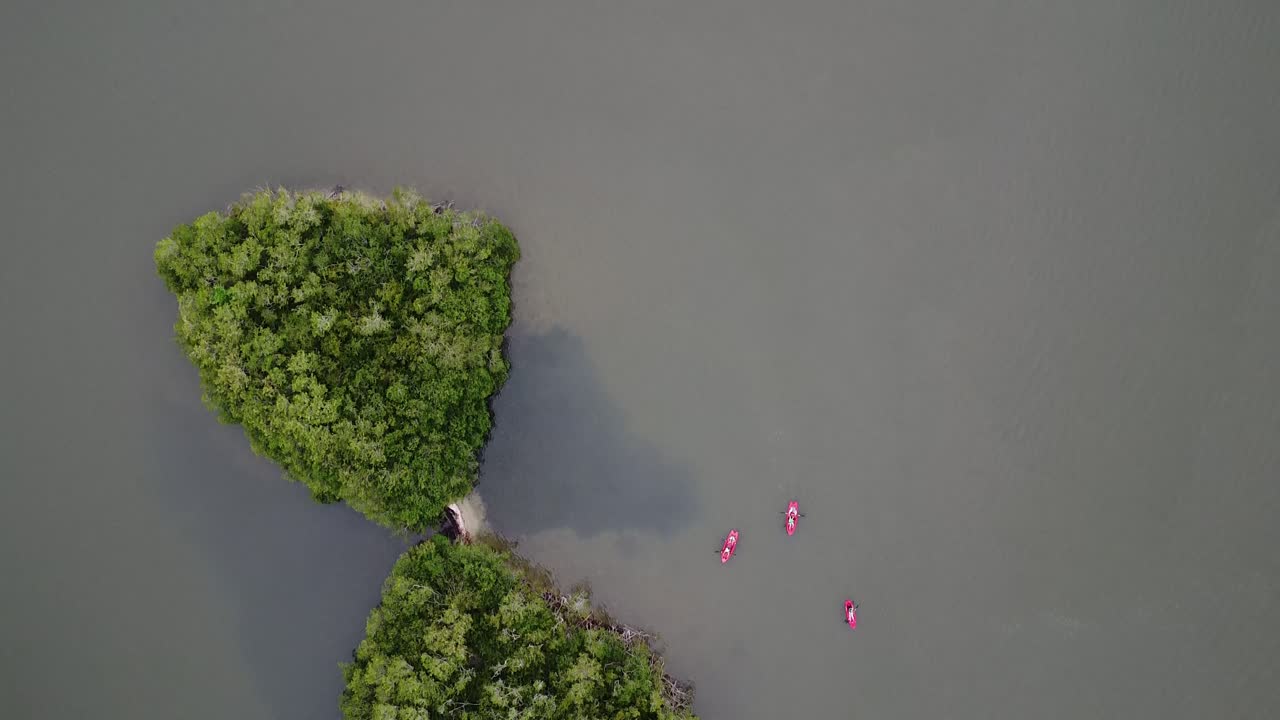 Aerial drone top down shot over kayaks rowing alongside small islands in Mandinga Lagoon mangrove area, Veracruz, Mexico