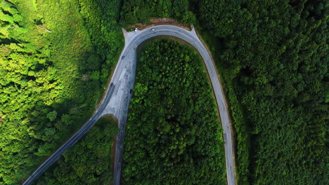 rising over the lush green forest with a highway loop. cars move by the road in the woods of slovakia. top view