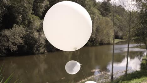 white balloons floating outdoors near a calm river and trees, creating a serene scene