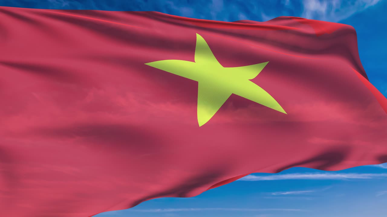 흐린 하늘을 배경으로 직물 구조로 된 베트남 발 (loopable)