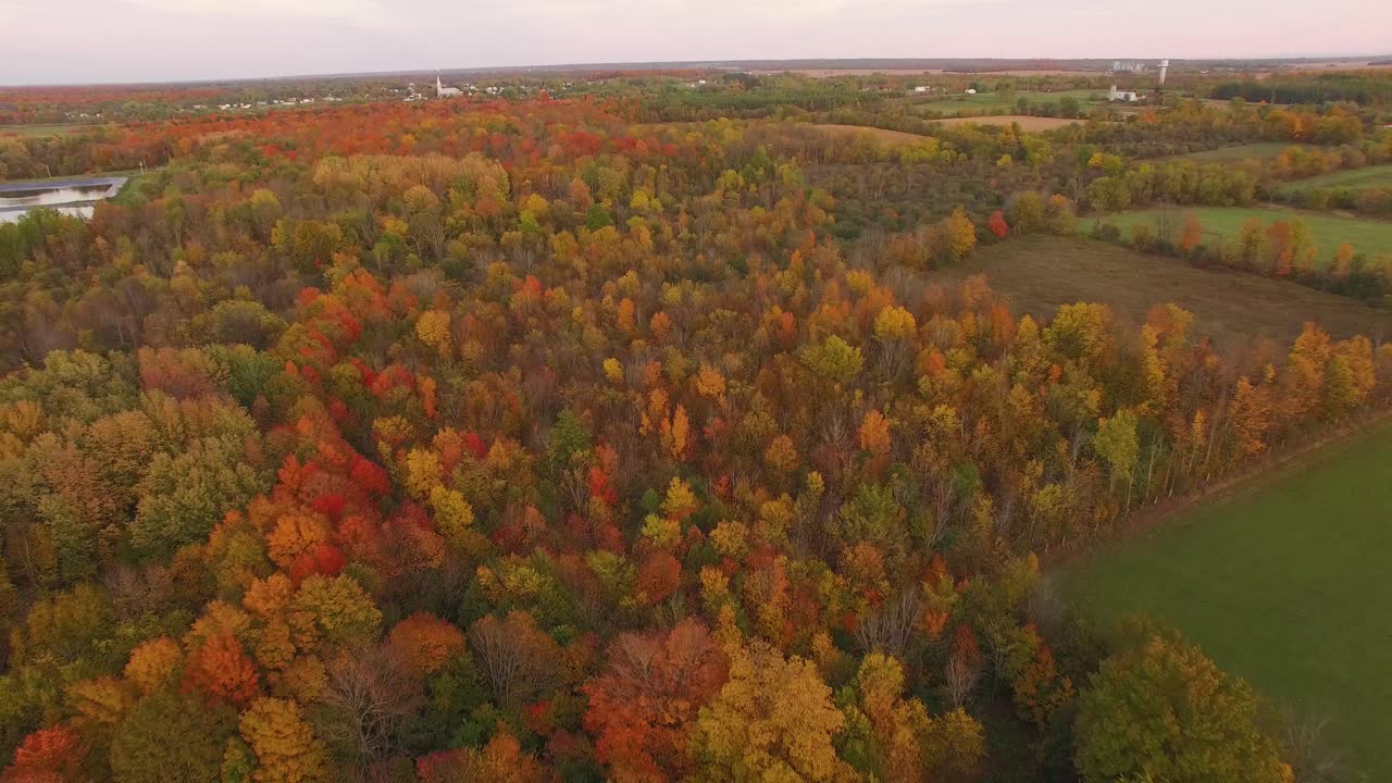 vuelo de drones hacia adelante de alto ángulo mirando hacia abajo sobre el follaje de otoño alrededor de campos de cultivo abiertos