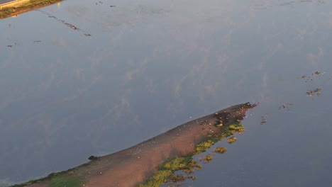 Drone-aerial-view-of-Kaunas-confluence-park