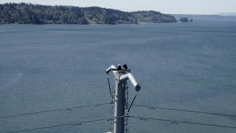 Aerial-view-of-Elliott-Bay-on-coast-of-Seattle-in-America