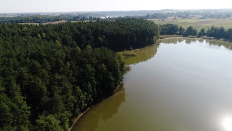 Aerial-natural-landscape-view-of-Kashubian-Pomeranian-Lake-District-Poland,-sunny-afternoon-drone-shot-of-pine-tree-forest-and-scenic-coastline