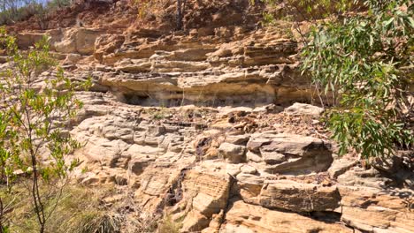 rocky cliffside with vegetation in coonabarabran, nsw