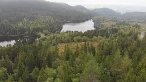 Inclínate-Hacia-Arriba-Desde-Los-Bosques-De-Pinos-Hasta-El-Lago-Brumoso