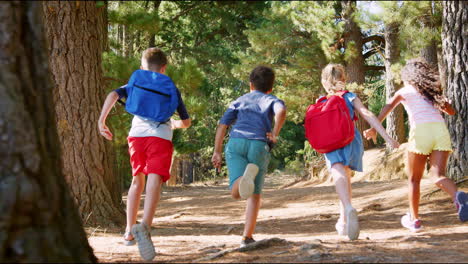 Rear-View-Of-Children-Running-Along-Trail-On-Hiking-Adventure