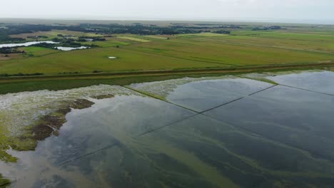 Luftaufnahme-Des-Wattenmeers-Auf-Der-Insel-Romo,-Dänemark