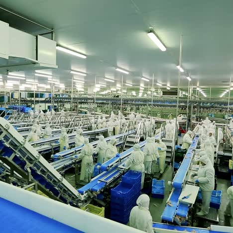 automated chicken processing facility