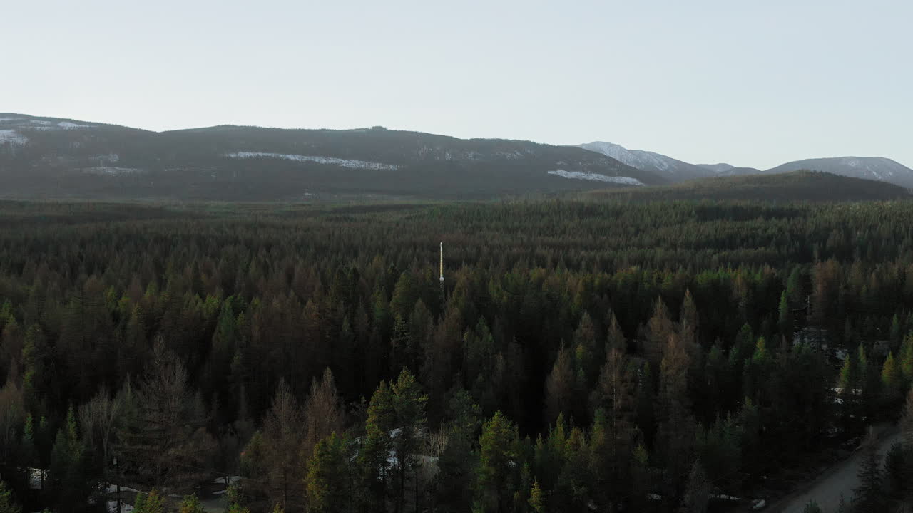 Sunlight fading over the dense mountain forest with evergreen trees and huge mountains