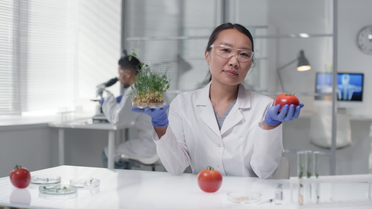 Technologist In Lab With GM Plant And Vegetables