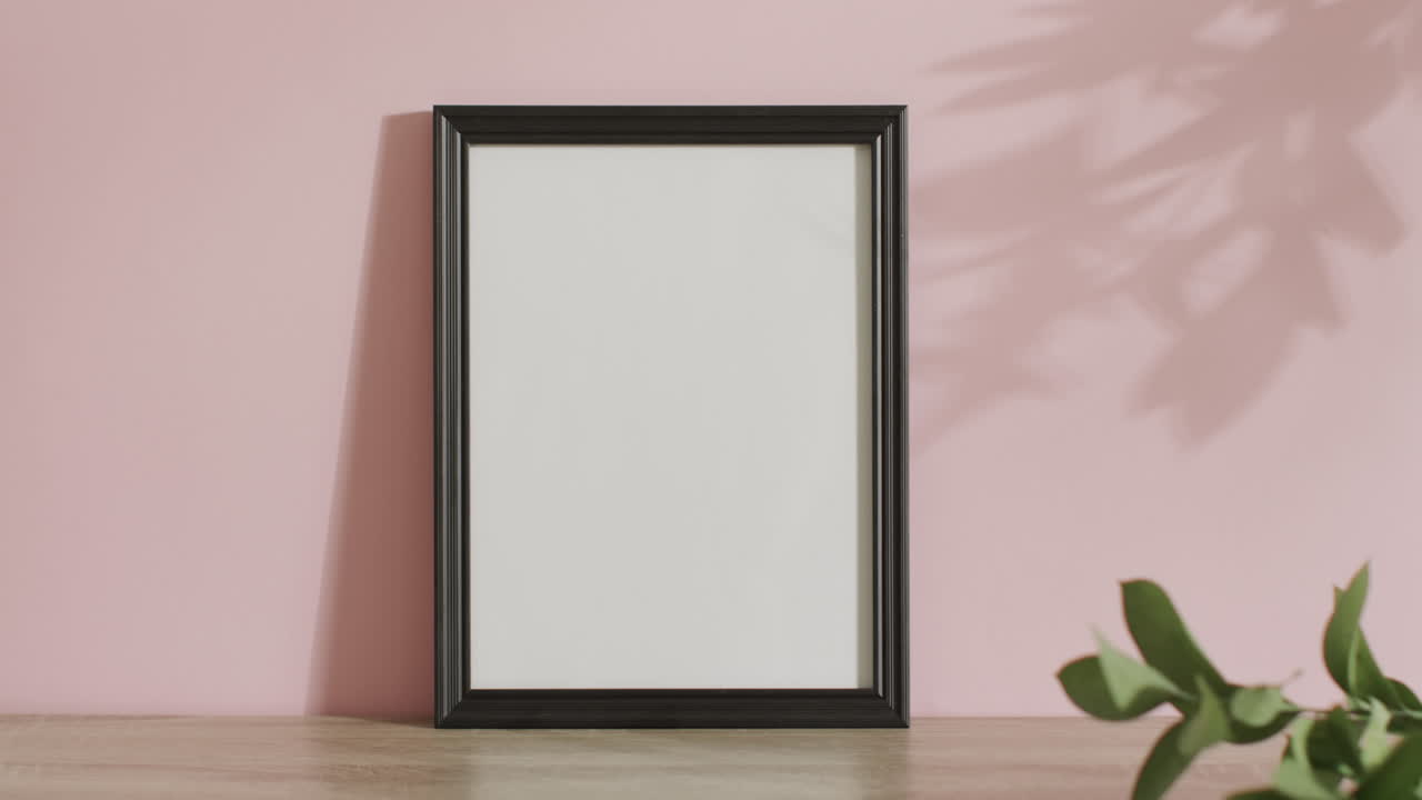marco negro con espacio de copia en fondo blanco y sombra de hoja contra la pared rosa