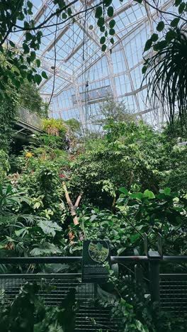 tropical greenhouse plants