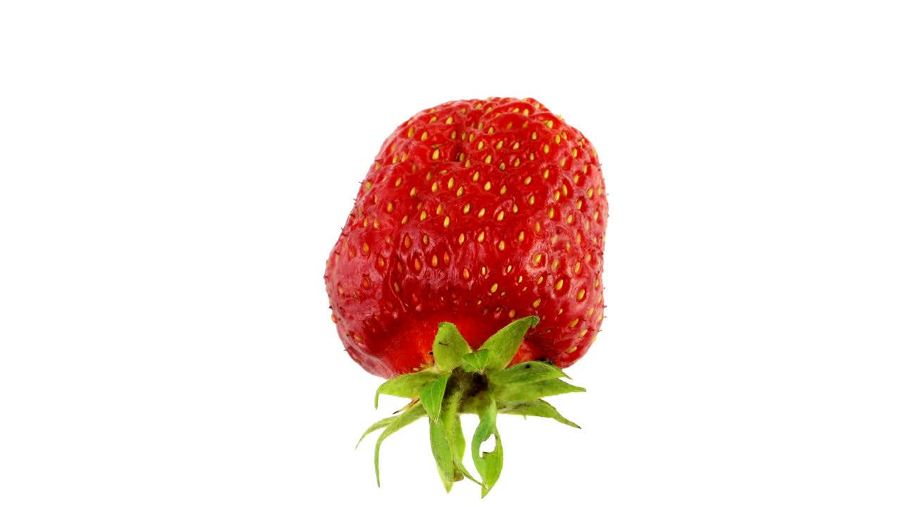 fresa de fresa sobre un fondo blanco