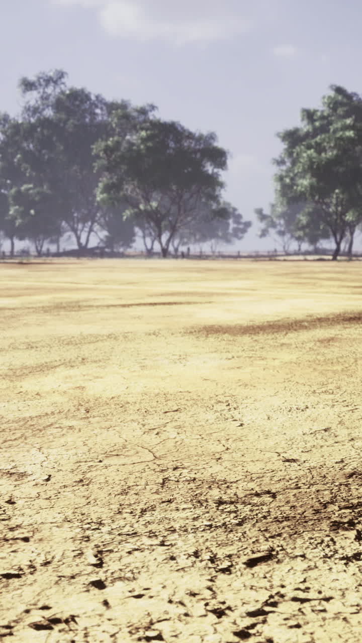 Barren landscape with cracked earth under a blue sky and scattered trees