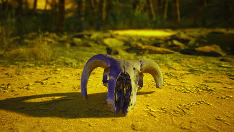 ram skull resting on golden ground in a serene forest clearing