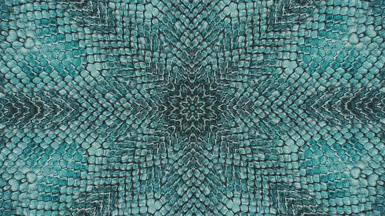 Parallax effect. Radial blue snake skin background. Snake skin texture closeup. 4k zoom in footage
