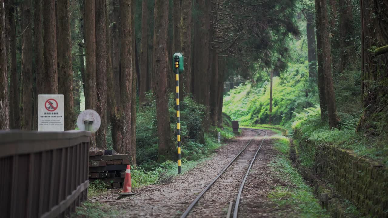 Train Tracks on Mount Ali forming One Point Perspective (In Central Taiwan)