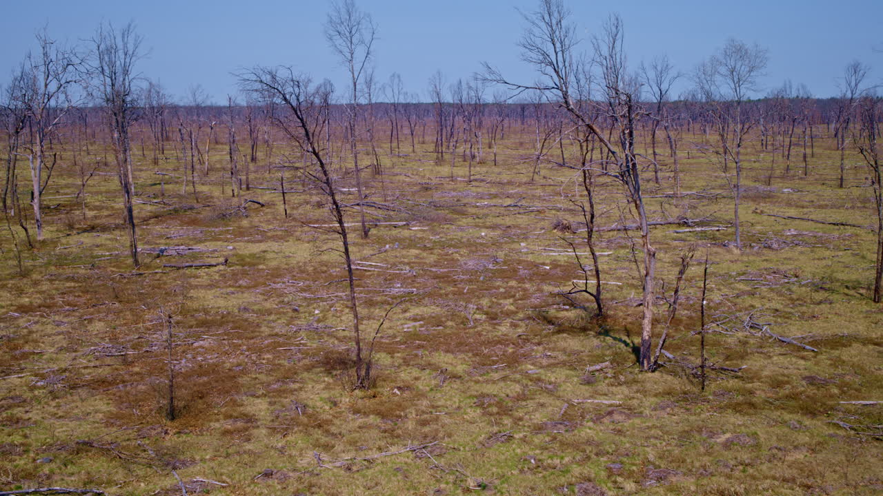 산불로 불타는 큰 숲의 공중 촬영.