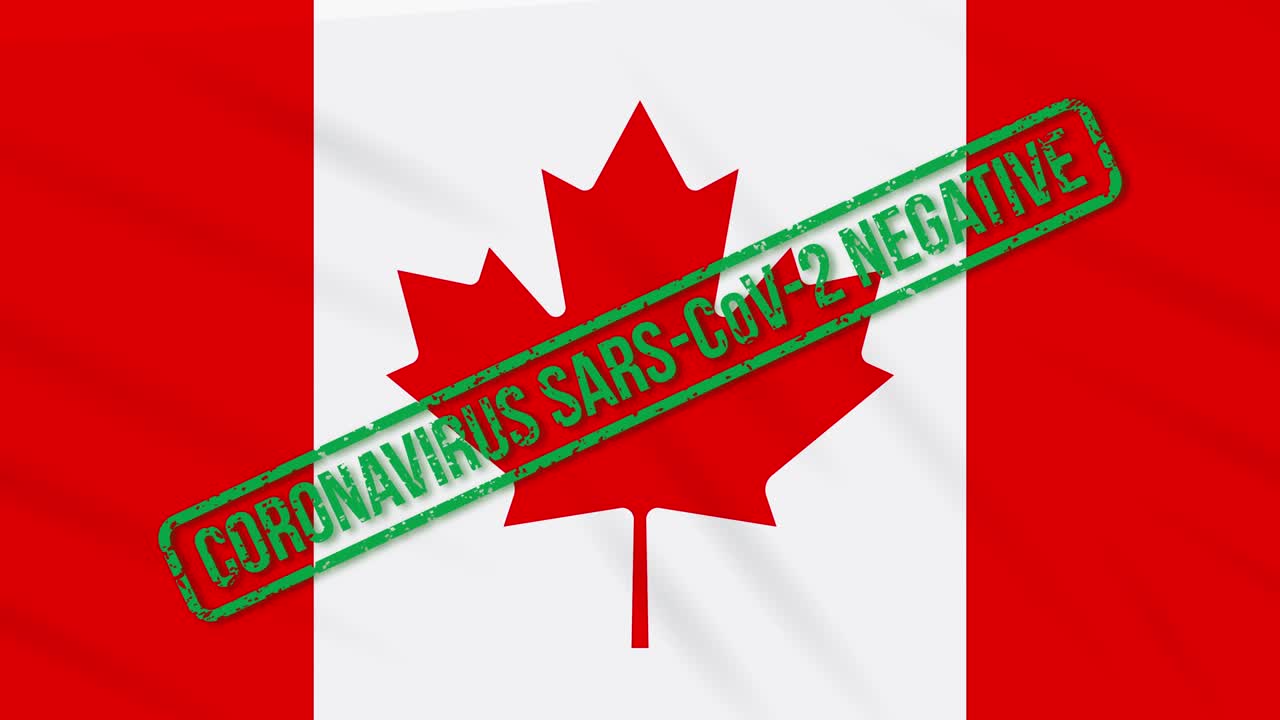 canadá balanceando la bandera con el sello verde de la libertad del coronavirus, bucle