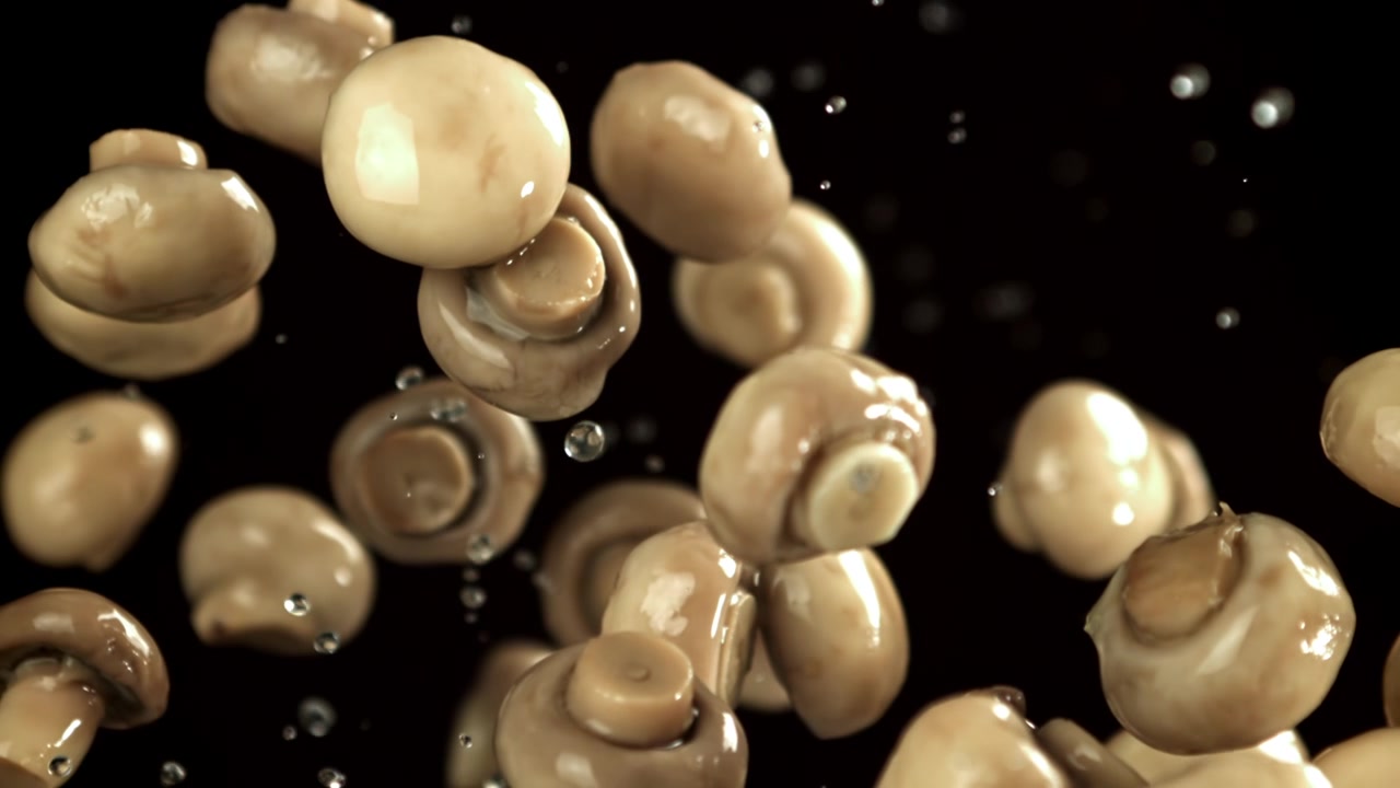 Funghi freschi con goccioline d'acqua che cadono al rallentatore