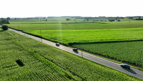 american farmland