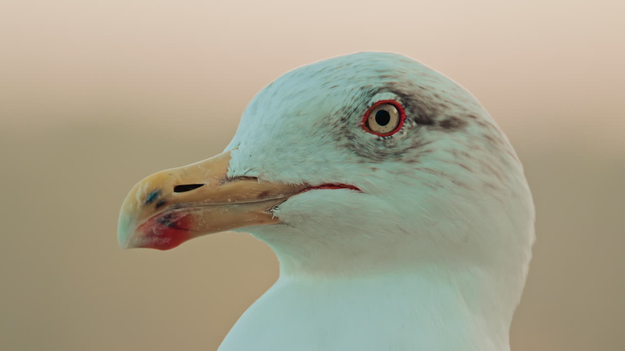 Abstract reflection of colorful boat hulls rippling across the surface of the water, creating a painterly effect