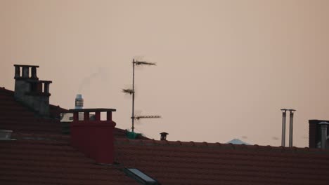 birds passing above houses