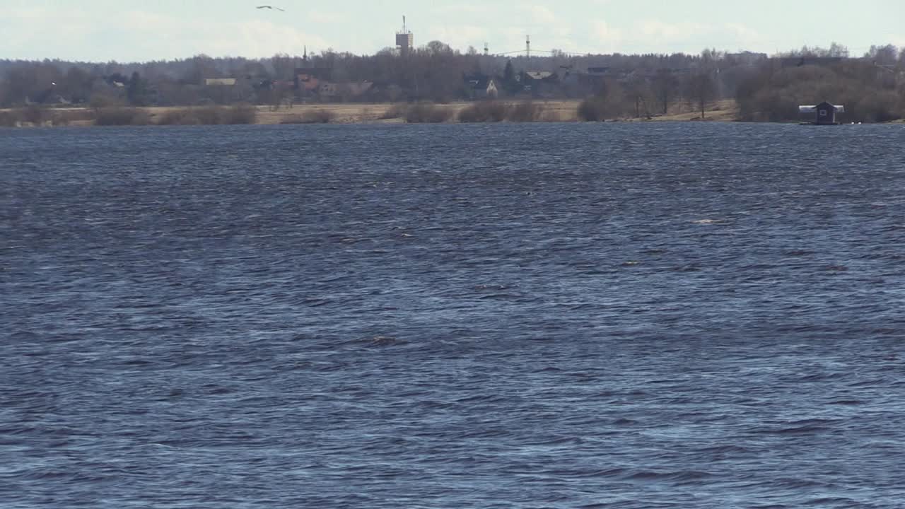 daugava 강 어두운 물 흐름 일광