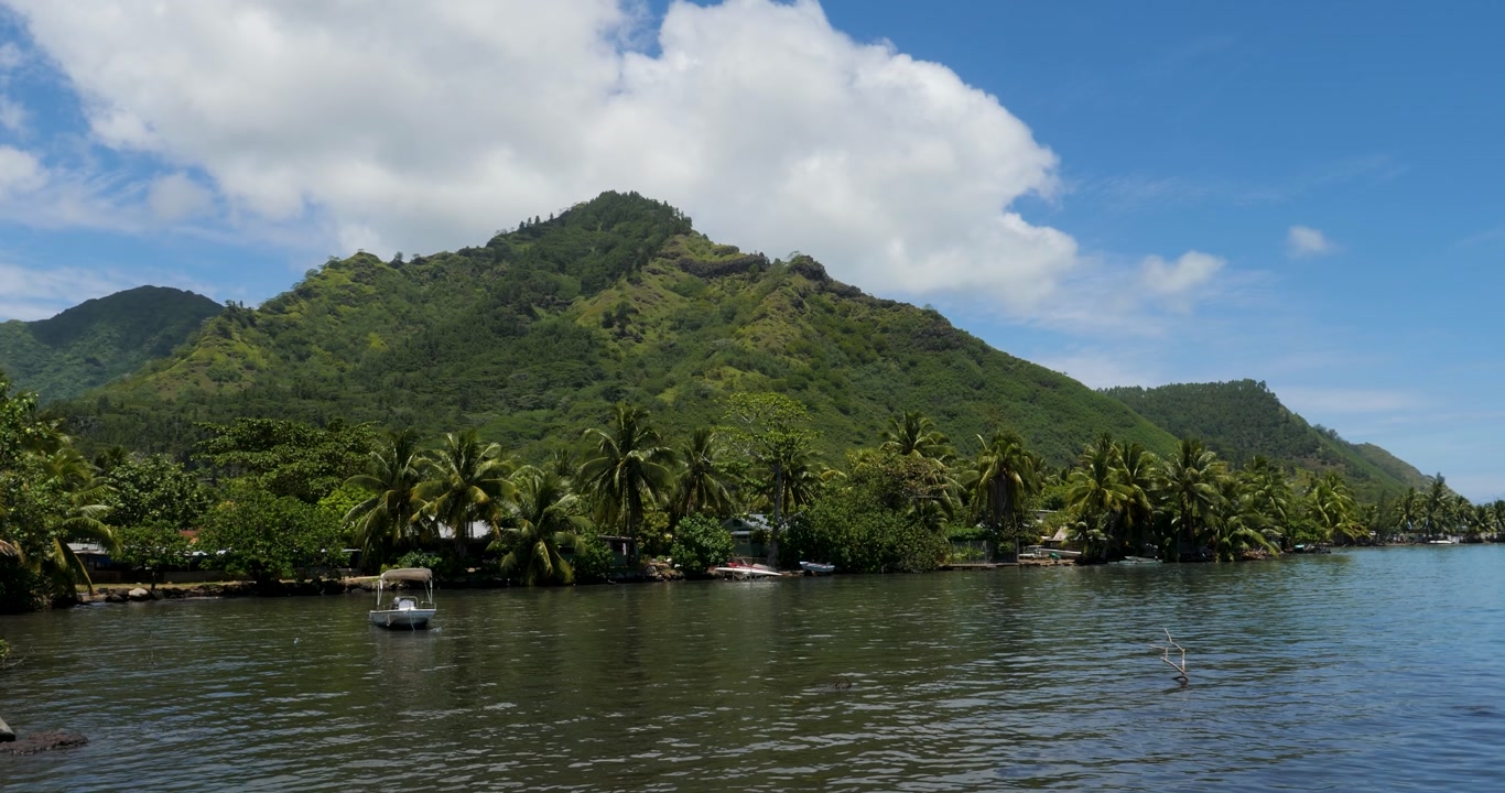 Opunohu Bay, island of Moorea, French Polynesia.