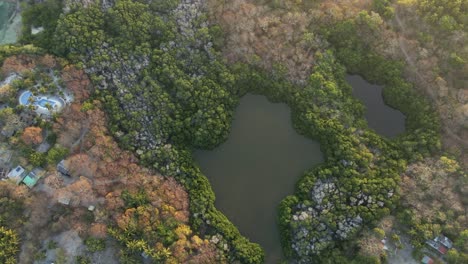 isla grande naturaleza estanque de agua vegetación colombia islas rosario, vista aérea de arriba hacia abajo