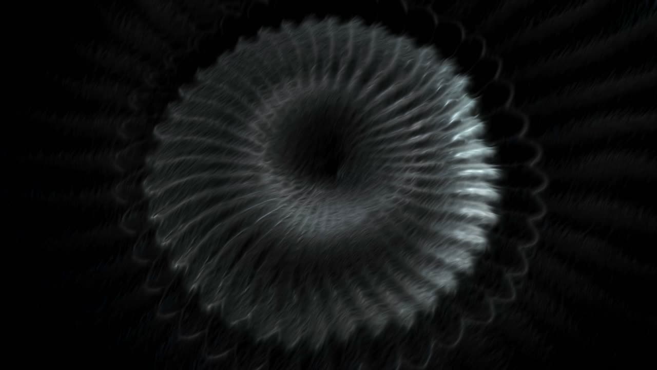 Abstract Disegno a spirale bianco e nero