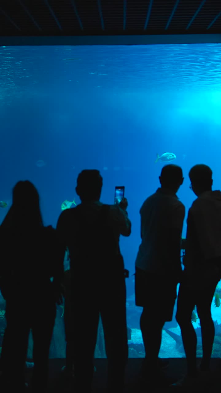 People viewing an aquarium tank