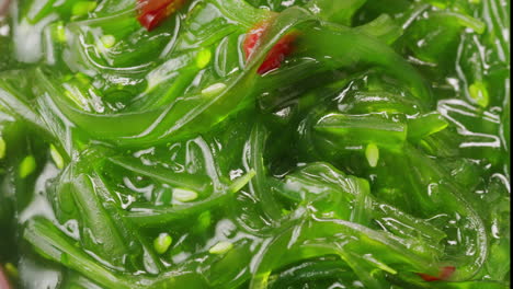 japanese wakame chuka fermented food. close-up on a detail of hiyashi wakame chuka or seaweed salad or seaweed with sesame seeds on a plate. top view. seafood background. health concept.