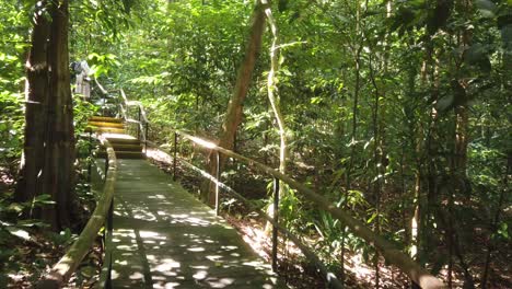 Toma-Pov-De-Caminar-Por-El-Antiguo-Muelle-En-El-Lago-Del-Bosque-Oscuro