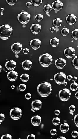 black and white bubbles in water