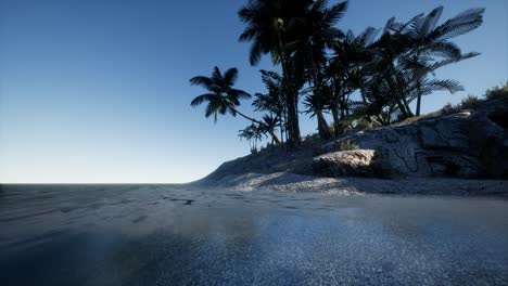 tropical island of maldives in ocean