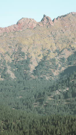 mountainous forest landscape