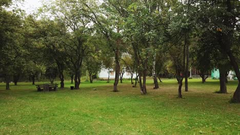 Park with Trees and Lawn