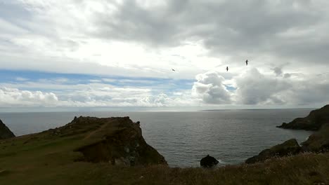 Vögel-Fliegen-Entlang-Der-Zerklüfteten-Britischen-Küste