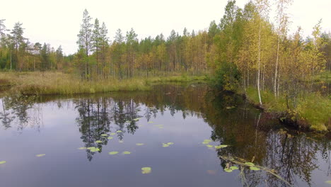 Toma-De-Drones-De-Un-Lago-Pantanoso-Remoto-En-El-Desierto-Boreal