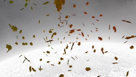 digital animation of multiple autumn maple leaves floating against winter landscape in background