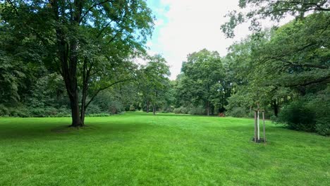 wide-angle camera movement slowly pans across a vibrant public park with mature trees, green grass, and natural daylight in berlin, germany