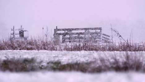 espesas nevadas invernales en un campo gris y frío, ampliadas