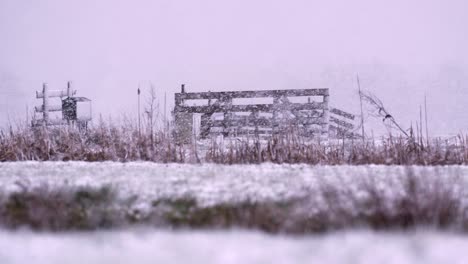 thick winter snowfall in grey and cold looking countryside, zoomed in