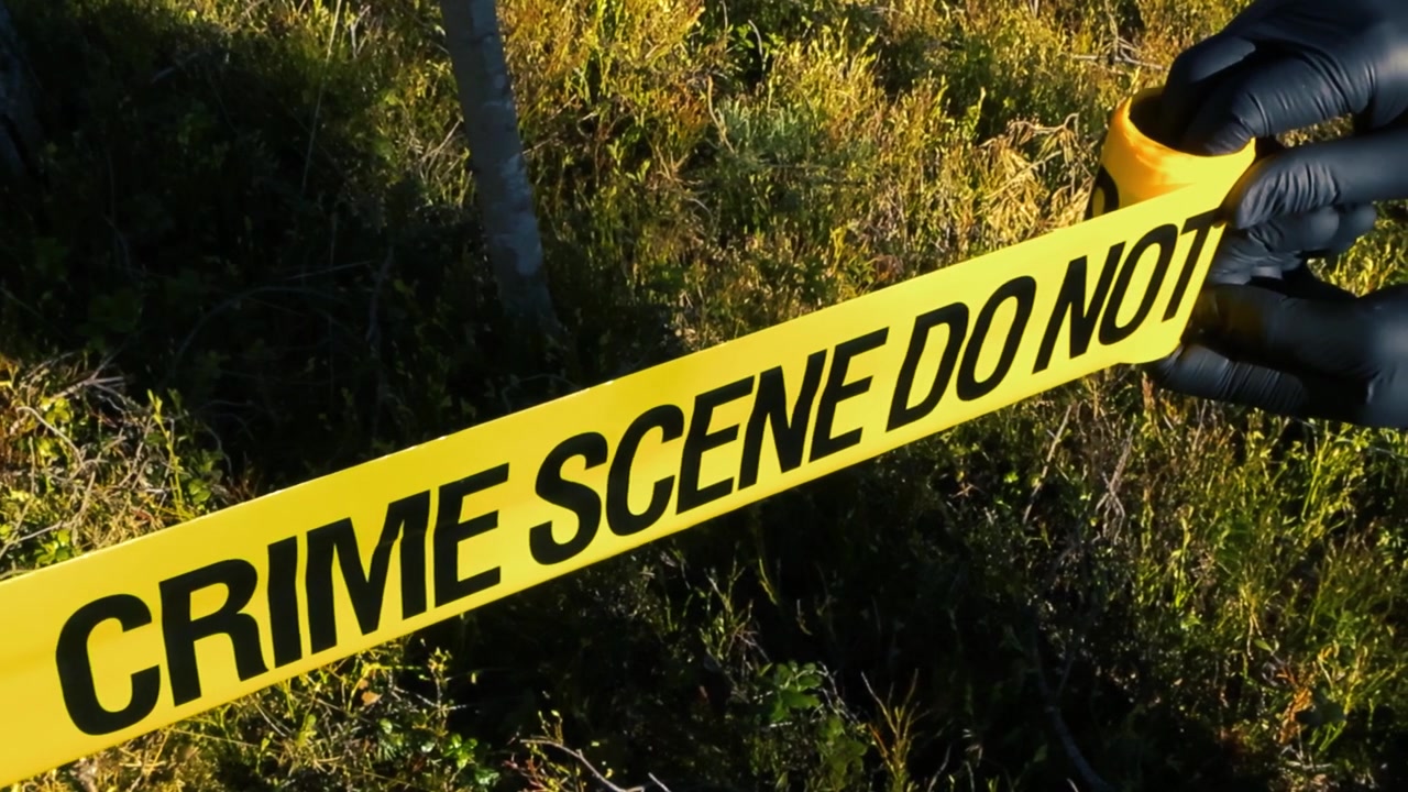 Gloved hands of a police detective or forensic investigator unrolling yellow tape with the inscription crime scene do not cross in a wooded area, cordoning off the restricted zone