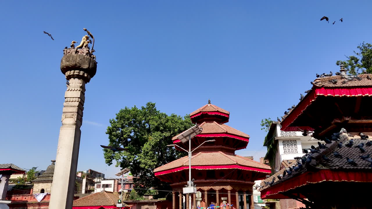 Hidastettuja kyyhkysiä Kathmandun Durbar-aukiolla Nepalissa